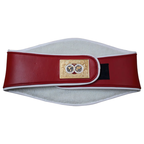 RAY'S IBF WORLD BOXING CHAMPION REPLICA BELT, ADULT SIZE