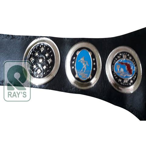 RAY'S FLORIDA HEAVYWEIGHT WRESTLING CHAMPION REPLICA BELT ADULT SIZE