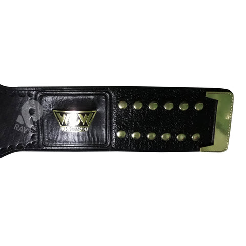 RAY'S WCW United State Wrestling Champion REPLICA BELT