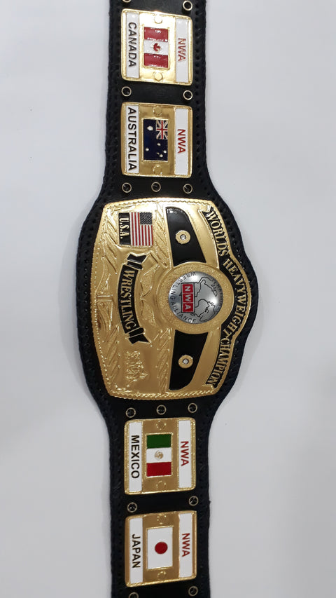 RAY'S NWA DOME WORLDS HEAVYWEIGHT CHAMPION REPLICA BELT