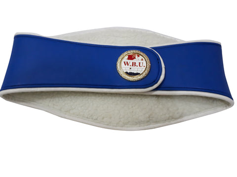 RAY'S WBU INTERNATIONAL CHAMPION REPLICA BELT ADULT SIZE