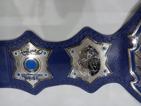 RAY'S TNA ENIGMATIC CHAMPION REPLICA BELT ADULT SIZE