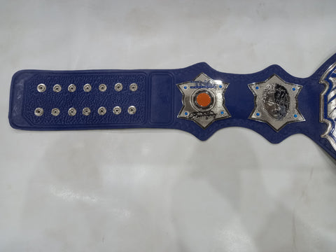 RAY'S TNA ENIGMATIC CHAMPION REPLICA BELT ADULT SIZE