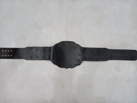 RAY'S IWGP INTERCONTINENTAL CHAMPIONSHIP BELT, ADULT SIZE