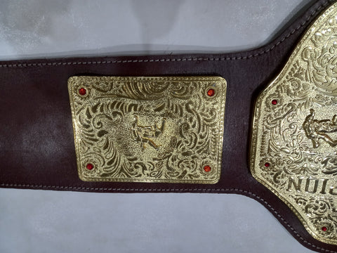 RAY'S BIG GOLD WORLD HEAVYWEIGHT CHAMPIONSHIP REPLICA BELT,ADULT SIZE