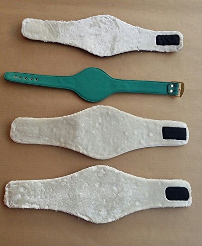 RAY'S 4 PCS OF MINI BELTS WBC WBA WBO IBF Championships SET