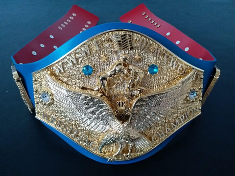 RAY'S FANDU ADULT HEAVYWEIGHT CHAMPIONSHIP BELT ADULT SIZE