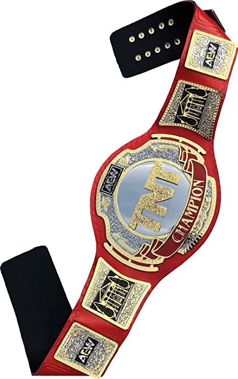 RAY'S AEW TNT WORLD CHAMPION REPLICA BELT ADULT SIZE