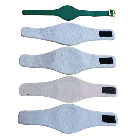 RAY'S MINI 5 PCS BOXING SET REPLICA BELT WBC, IBF, WBO, WBA, IBO