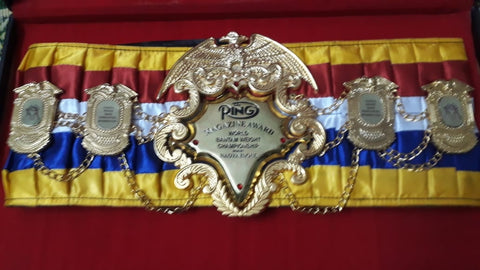 RAY'S RING MAGAZINE NAOYA INOUE REPLICA BELT ADULT SIZE