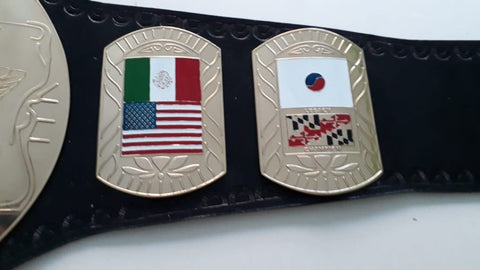 RAYS WORLD HEAVY WEIGHT WRESTLING CHAMPIONSHIP REPLICA BELT, ADULT SIZE