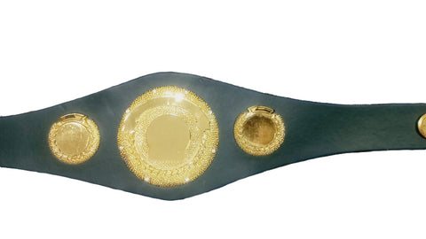 RAY'S custom made International Boxing Organization (IBO) World Championship boxing belt
