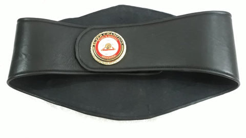 RAY'S WBA SUPER WORLD CHAMPIONSHIP REPLICA BELT ADULT SIZE